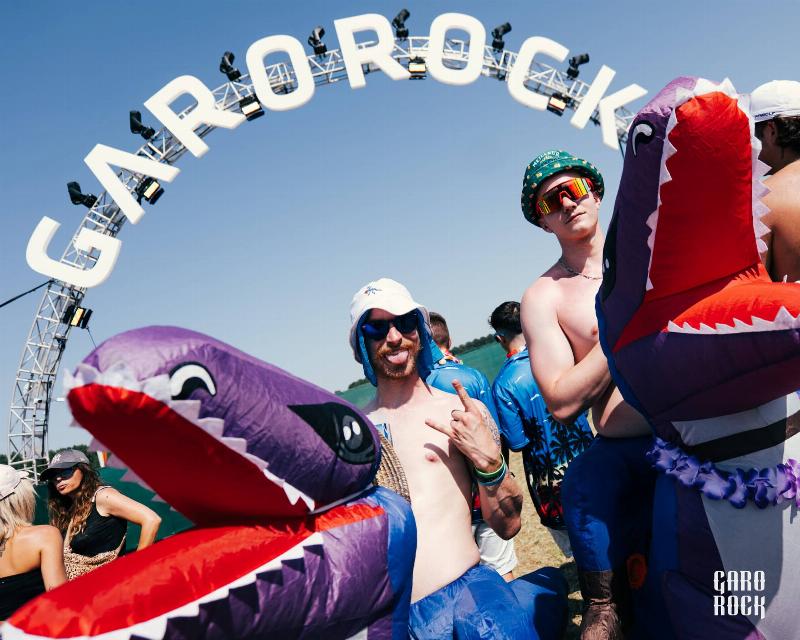 Foule euphorique dansant à un festival de musique pop rock française sous les projecteurs