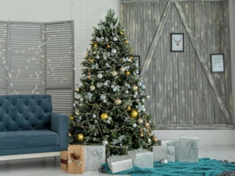 Les origines historiques et l'évolution des fêtes françaises, des traditions païennes aux célébrations modernes