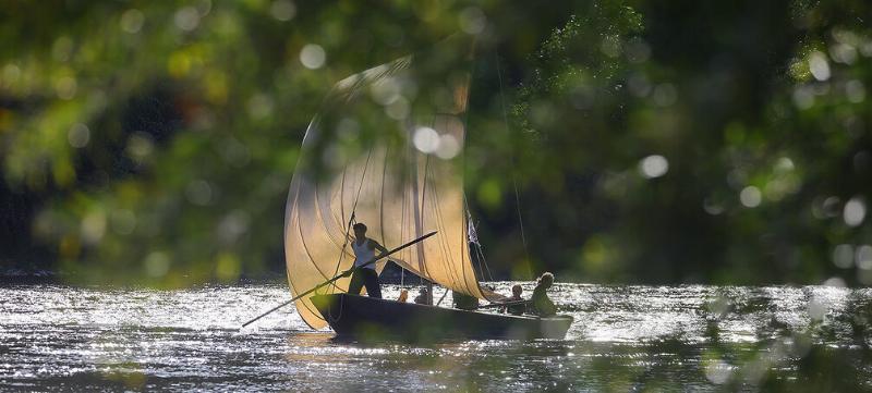Scène de fête de village en France, avec des stands de produits locaux et des musiciens traditionnels
