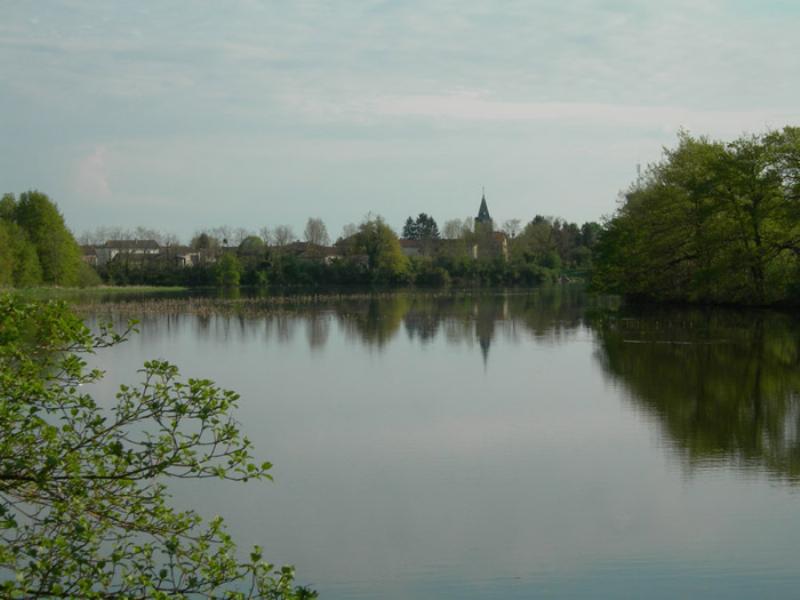 Scène animée d'un bal des pompiers français avec des gens dansant et festoyant