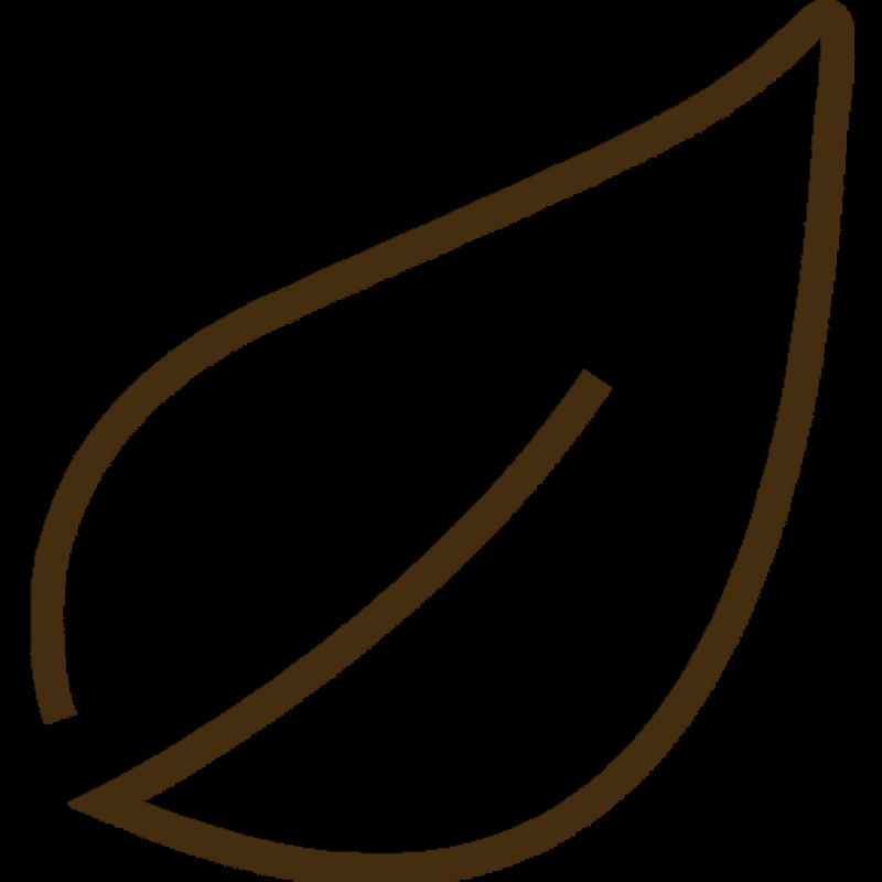 Fêtes calendaires françaises : famille, repas, partage, convivialité, tradition