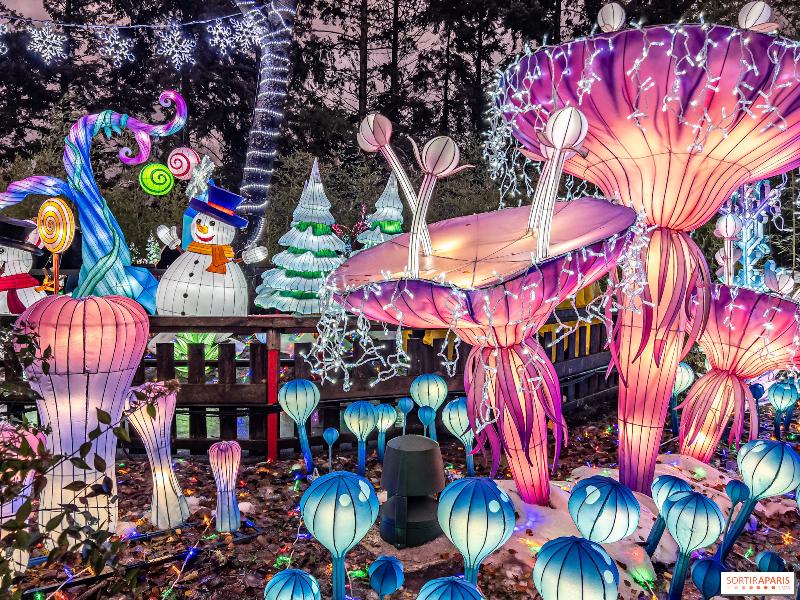 Ambiance joyeuse d'un marché de Noël français, un incontournable du calendrier des fêtes hivernales, avec lumières et artisans.