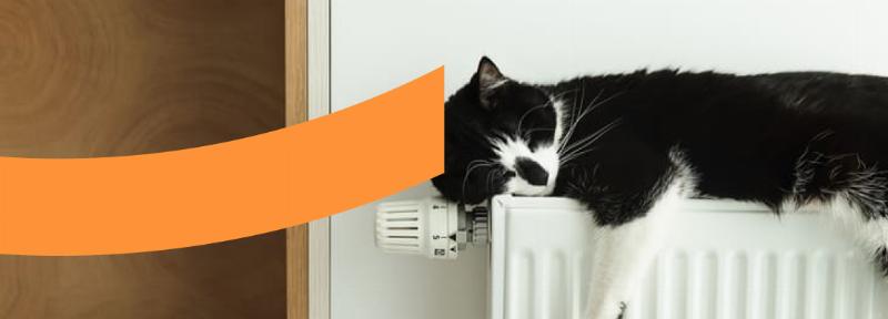 Fêtes conviviales françaises autour du partage et de la joie