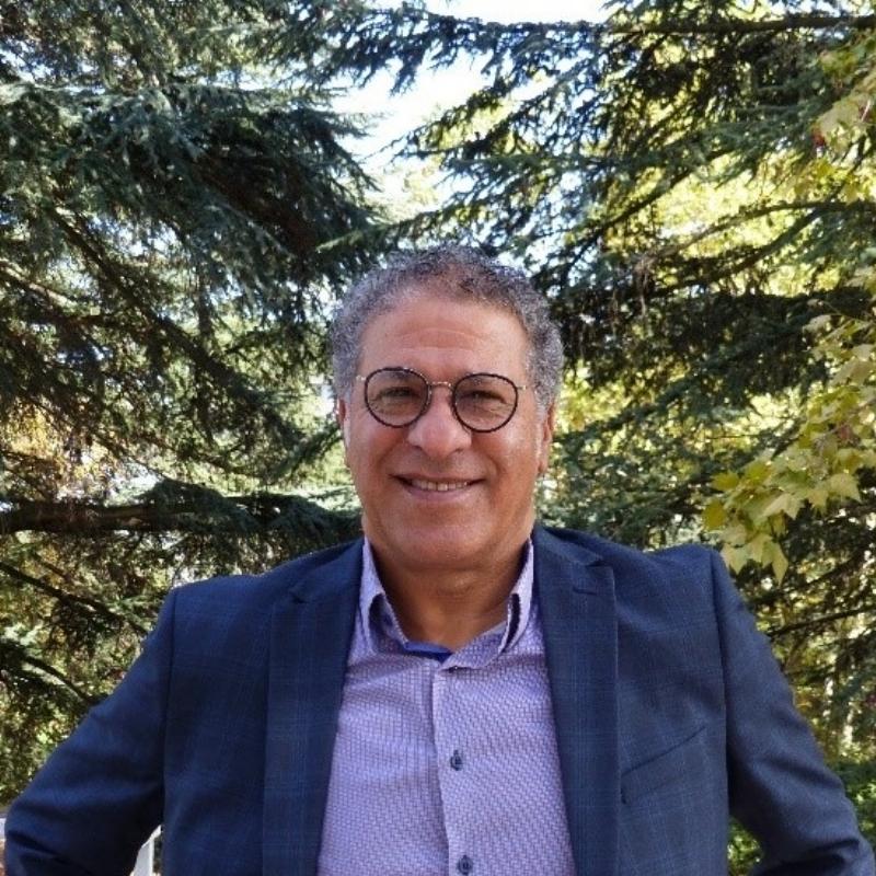 Détail d'une fresque murale monumentale à Lyon, une des villes de street art phares