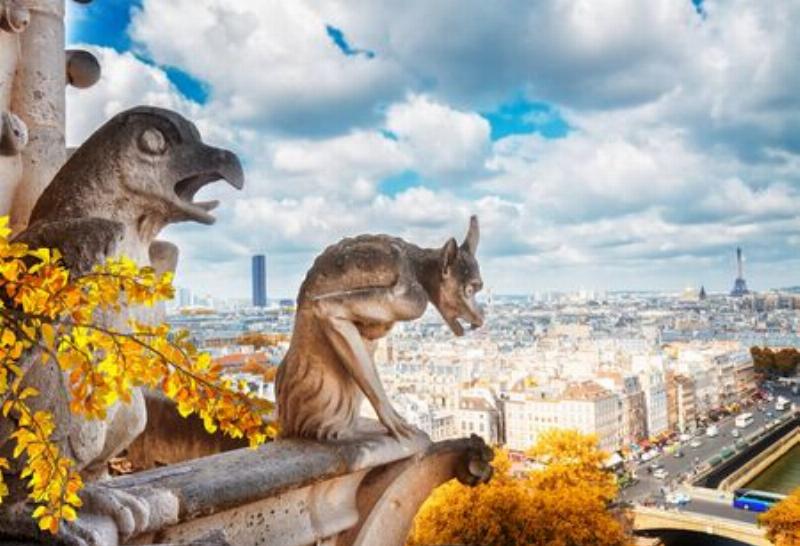 Gargouille de Notre Dame de Paris observant la ville médiévale