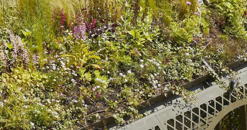 Plat gastronomique par Alain Ducasse au restaurant Le Grand Contrôle, inspiré de Versailles