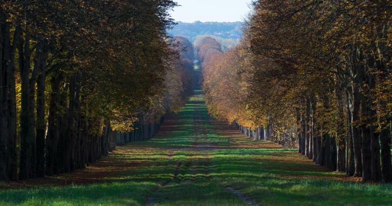 L'Établissement public du Château de Versailles, gérant les jardins, le palais et le musée avec expertise