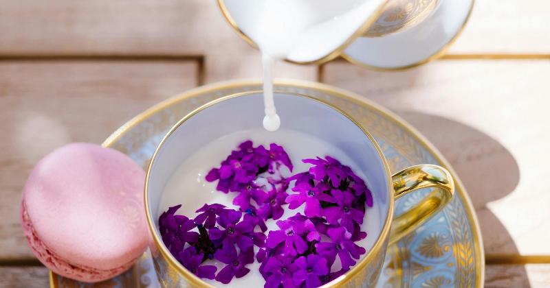 Intérieur d'une suite royale à l'Airelles Le Grand Contrôle, mobilier d'époque et dorures