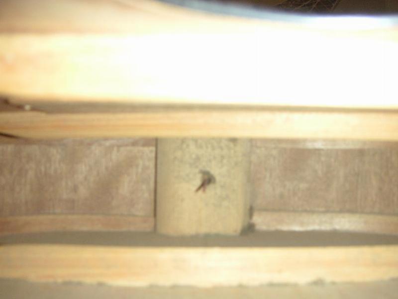 Illustration des mains sur le manche d'une guitare classique pour débutants