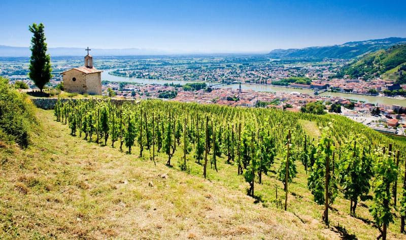 Vue panoramique du restaurant l'Hospitalet de Narbonne niché au cœur d'un vignoble ensoleillé
