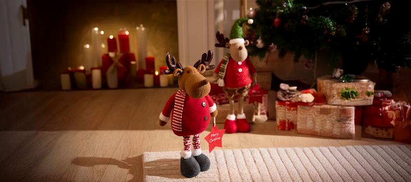 Intérieur lumineux et moderne avec murs blancs peints Lidl