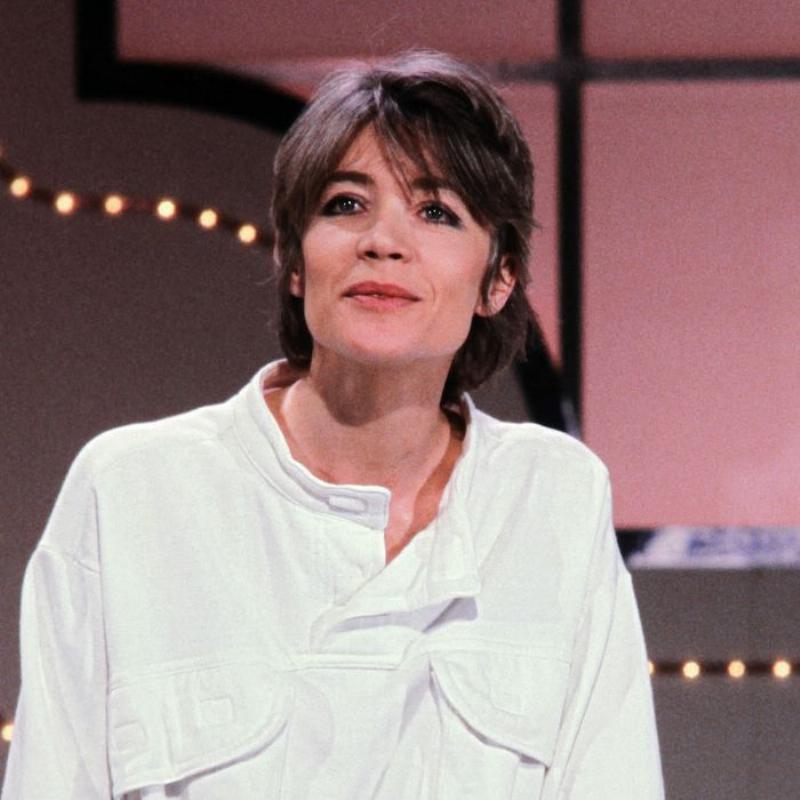 Jacques Dutronc et Françoise Hardy en tant que couple légendaire, capturant leur élégance intemporelle