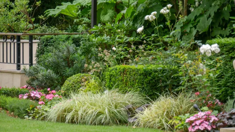 Jardins à la française du Château de Versailles, exemple d'architecture paysagère symétrique