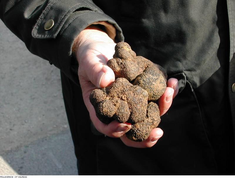 Un marché provençal coloré avec des étals de produits frais, incarnant l'art de vivre et la richesse locale