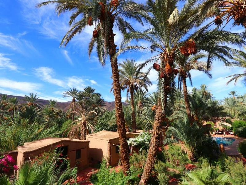 Architecture bioclimatique à Marrakech : Design durable et respectueux de l'environnement