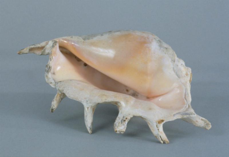 La recherche de l'impressionnisme sonore en musique classique française, un thème lié à Michel Blanc