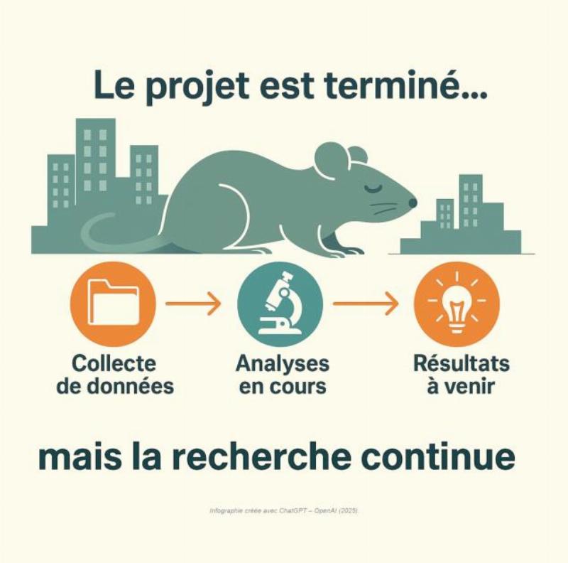 L'ambiance unique de "Il est cinq heures, Paris s'éveille" capturée visuellement.