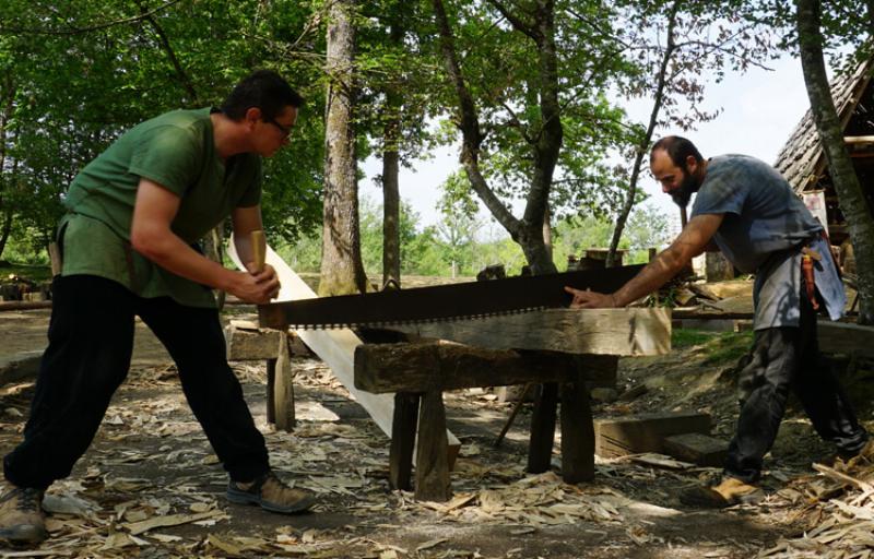 Construction médiévale de Notre-Dame avec des ouvriers transportant des pierres et des charpentes en bois