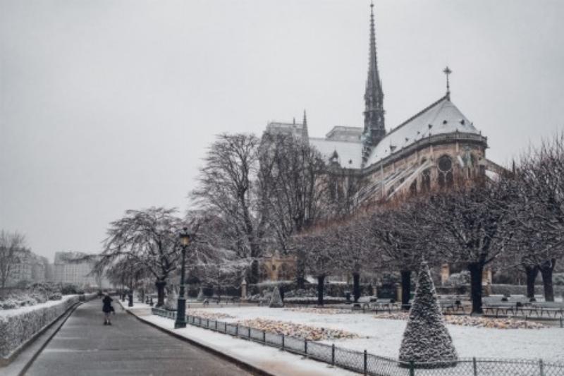 Vue majestueuse de la cathédrale Notre-Dame de Paris, emblème de l'architecture gothique française