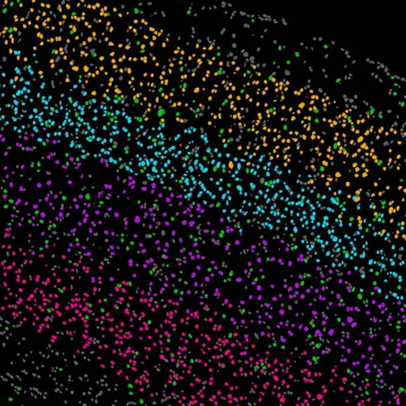 Notre-Dame de Paris le musical, un spectacle voyage culturel pour le monde