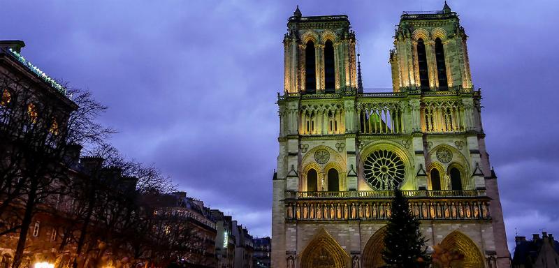 Travaux de reconstruction de Notre-Dame de Paris, des experts à l'œuvre