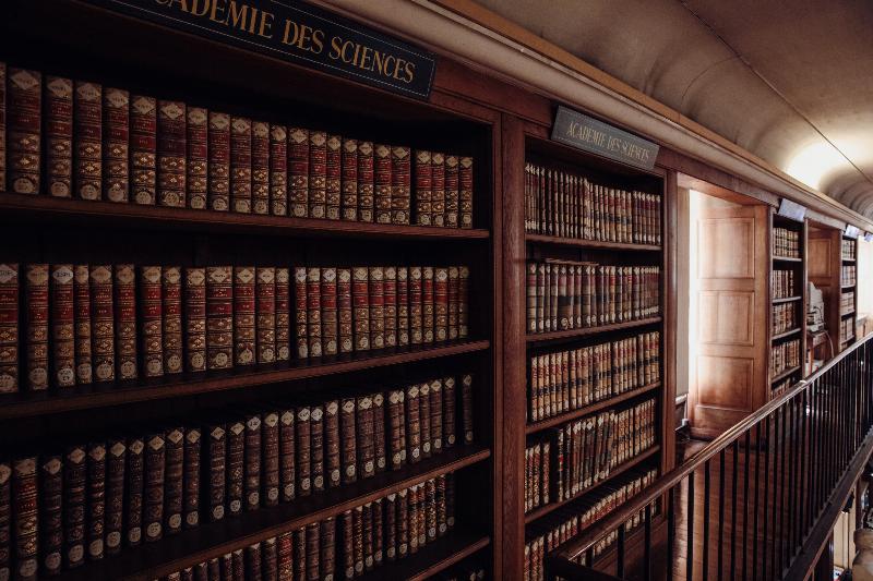 Les origines de l'art en France, de la préhistoire aux académies royales