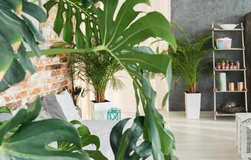 Explorer une palette de couleurs élégantes pour la peinture de votre terrasse en bois, inspirée des paysages français et de l'architecture traditionnelle