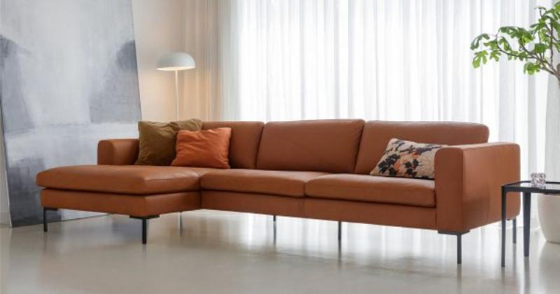 Palette couleurs neutres et terreuses pour salon français