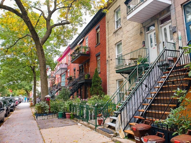 Exploration du street art parisien un jour ensoleillé