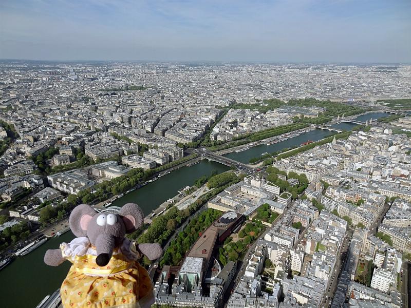 Vue panoramique de l'Île de la Cité et des quais de Seine, évoquant le Paris littéraire et l'accès depuis la notre dame de paris station metro