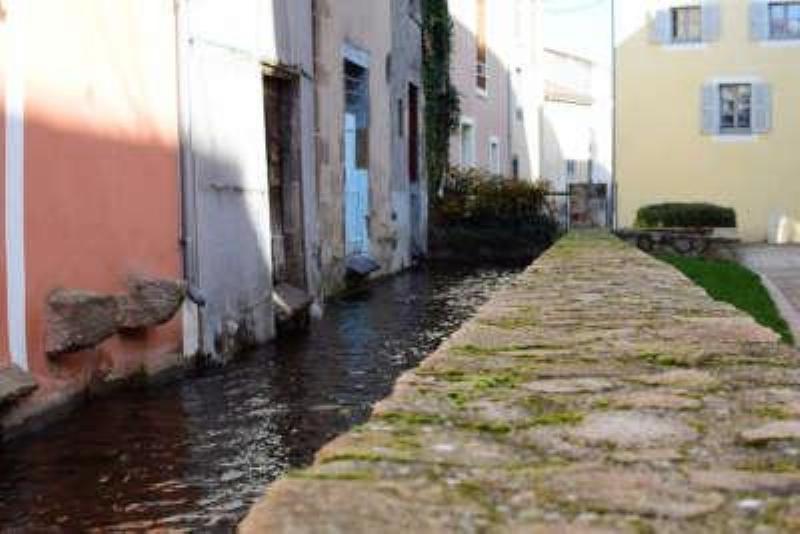 Détails d'un ancien garde-corps gothique en fer forgé en France, préservé