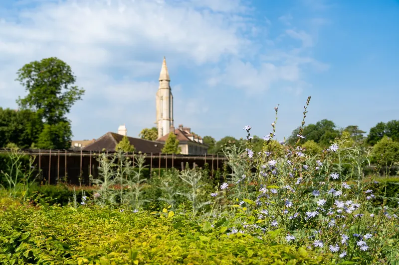 Abbaye médiévale du Nord de la France transformée en lieu de concert de musique classique