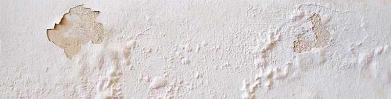 Une peinture humidité est appliquée sur un mur intérieur moisi pour le protéger et l'assainir