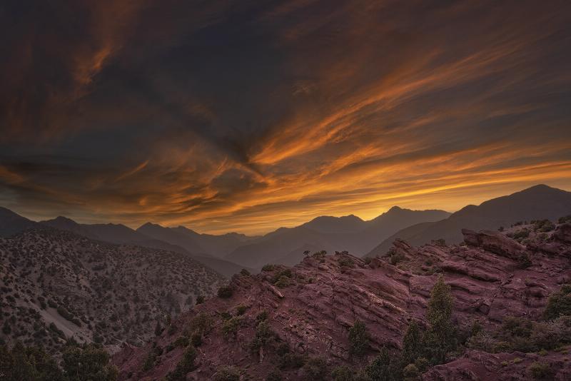 Peinture Lauragais représentant un champ de tournesols sous le soleil d'Occitanie, avec des villages en arrière-plan et un ciel bleu intense.