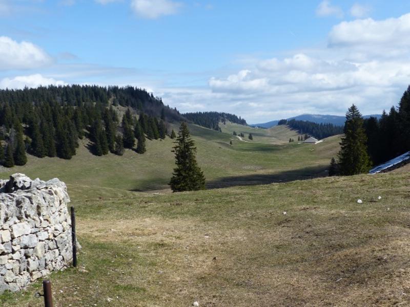 Préparation méticuleuse du toit d'un camping-car avant peinture, avec nettoyage et réparation des fissures, sous un ciel bleu dégagé.
