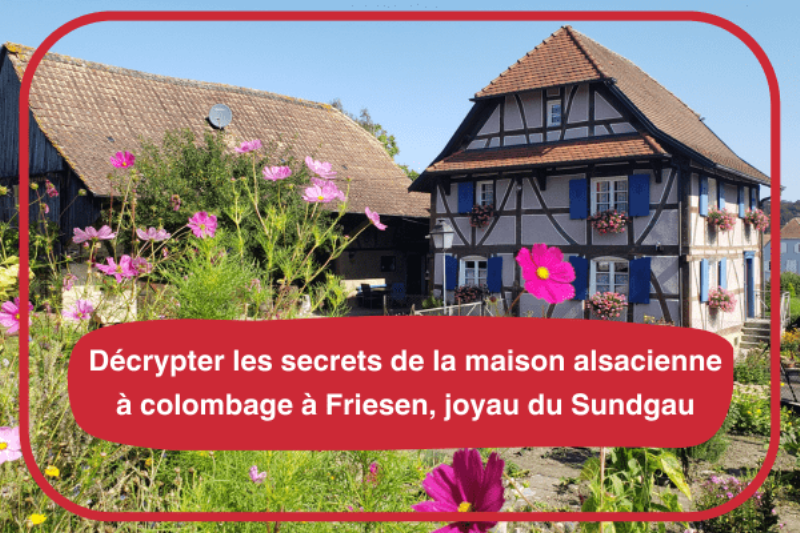 Plans d'architecture détaillés d'une maison alsacienne typique