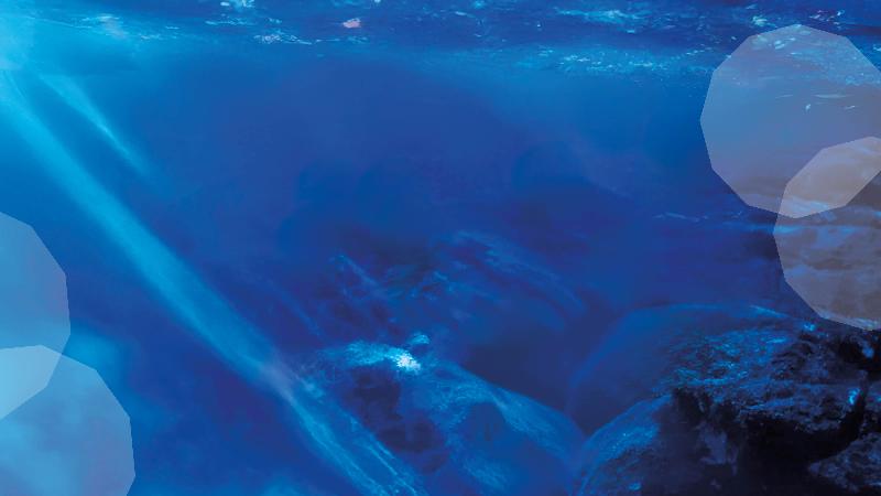 Affiche du programme de la saison musicale de l'Opéra de Limoges mettant en avant des concerts musique classique