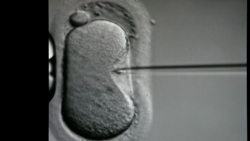 Un public immergé dans l'expérience musicale d'un concert en France