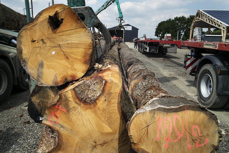 La reconstruction de la charpente de Notre-Dame de Paris
