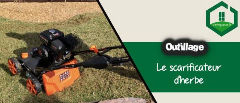 Résultat avant après peinture gazon, pelouse revitalisée et uniforme