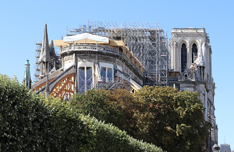 Zoom sur les détails complexes de la Rose Sud de Notre-Dame de Paris