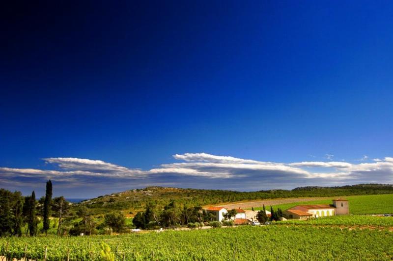 Salle à manger élégante avec vue sur vignoble L'Hospitalet Narbonne