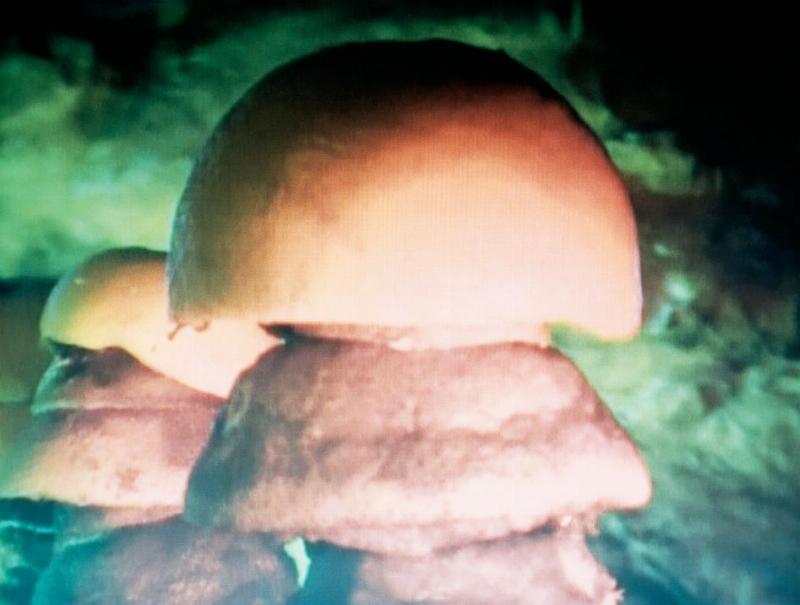 Gros plan sur un détail complexe d'une sculpture bois à la tronçonneuse, montrant la texture et la précision du travail en France