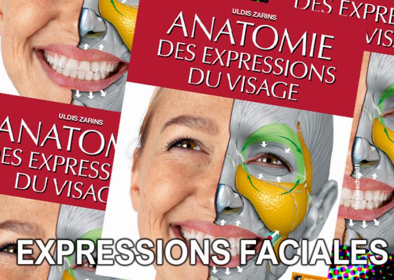 Main d'artiste sculpte les détails d'un visage féminin en argile, outils finesse expression