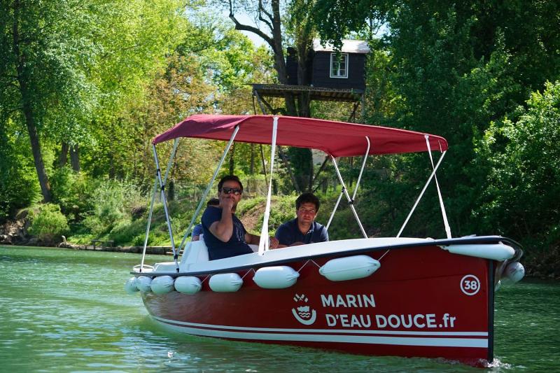 Peinture d'oiseau utilisant une technique impressionniste pour capturer la lumière et le mouvement.