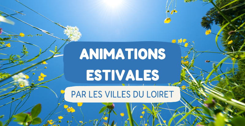 Vacances d'Août en France : animation estivale, plages, villes, familles, loisirs