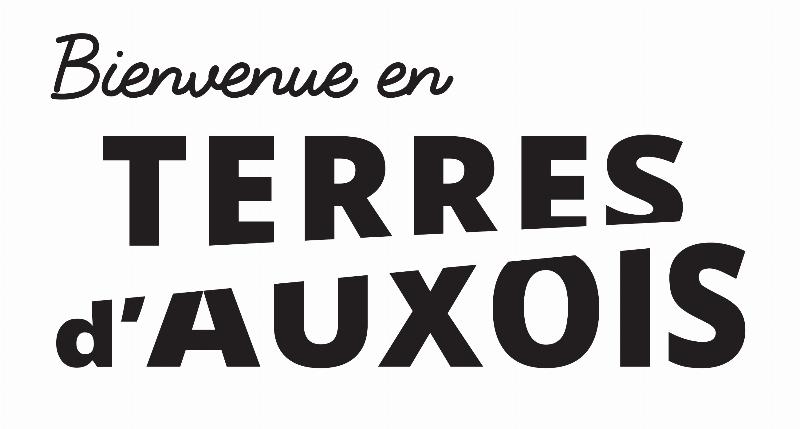 Monnais de Paris Notre Dame sur un livre d'histoire de France