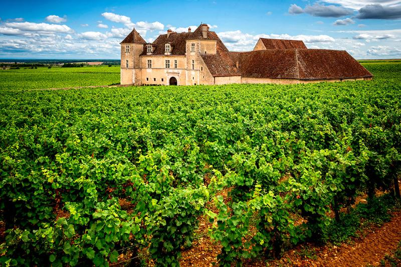 Un vignoble en Bourgogne au lever du soleil, symbolisant la beauté et la douceur de l'art de vivre français en campagne