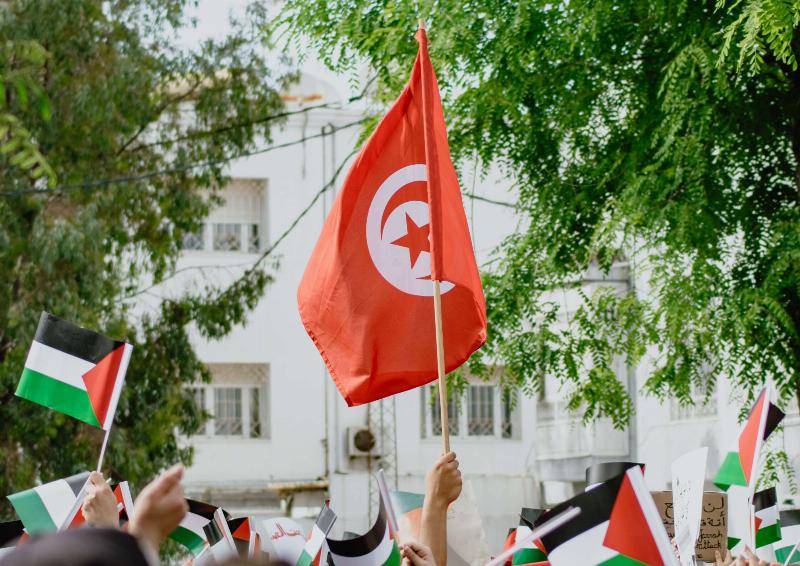 Vestiges impressionnants de l'architecture romaine en Tunisie, tels que l'amphithéâtre d'El Jem, symbolisant la grandeur antique.