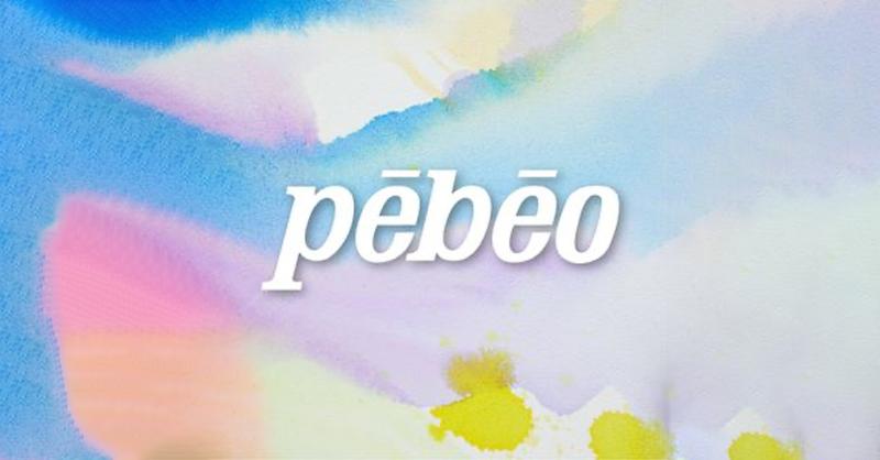 Peinture acrylique Pébéo avec le logo de la marque et un fond évoquant l'art français